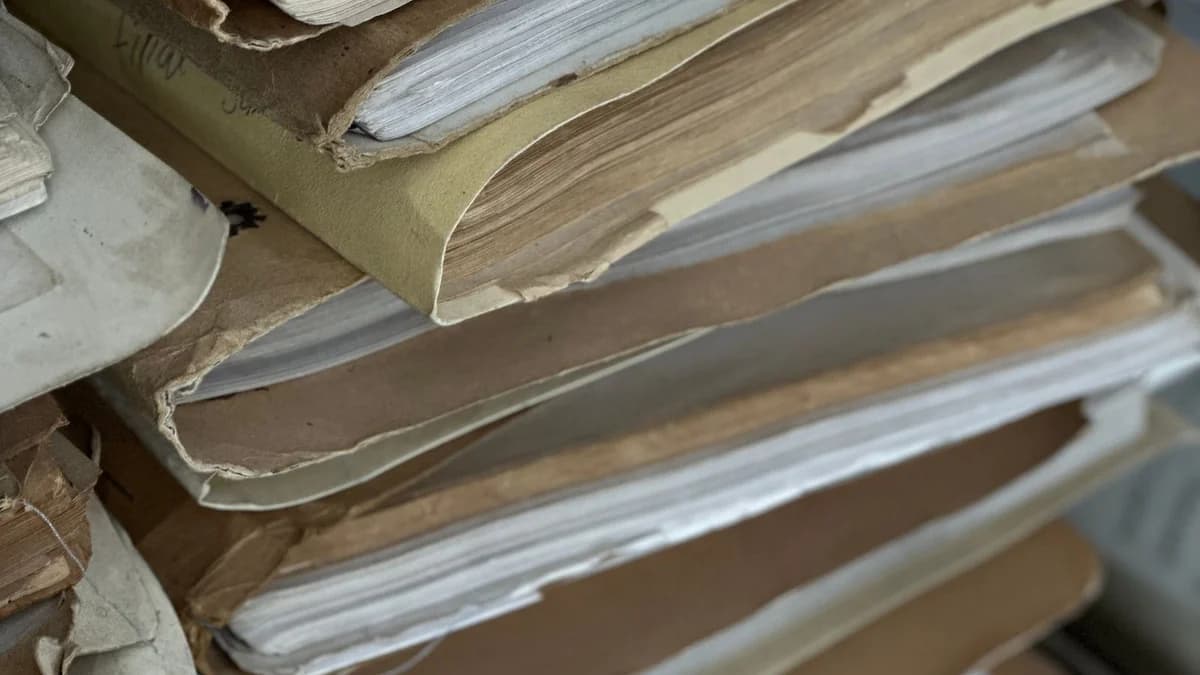 Восемь федеральных ЭТП: что у них одинаково по закону и чем они отличаются